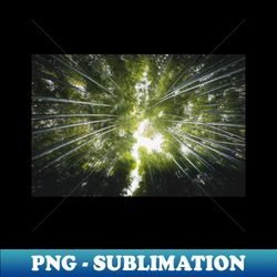 bamboo stems - trendy sublimation digital download - revolutionize your designs