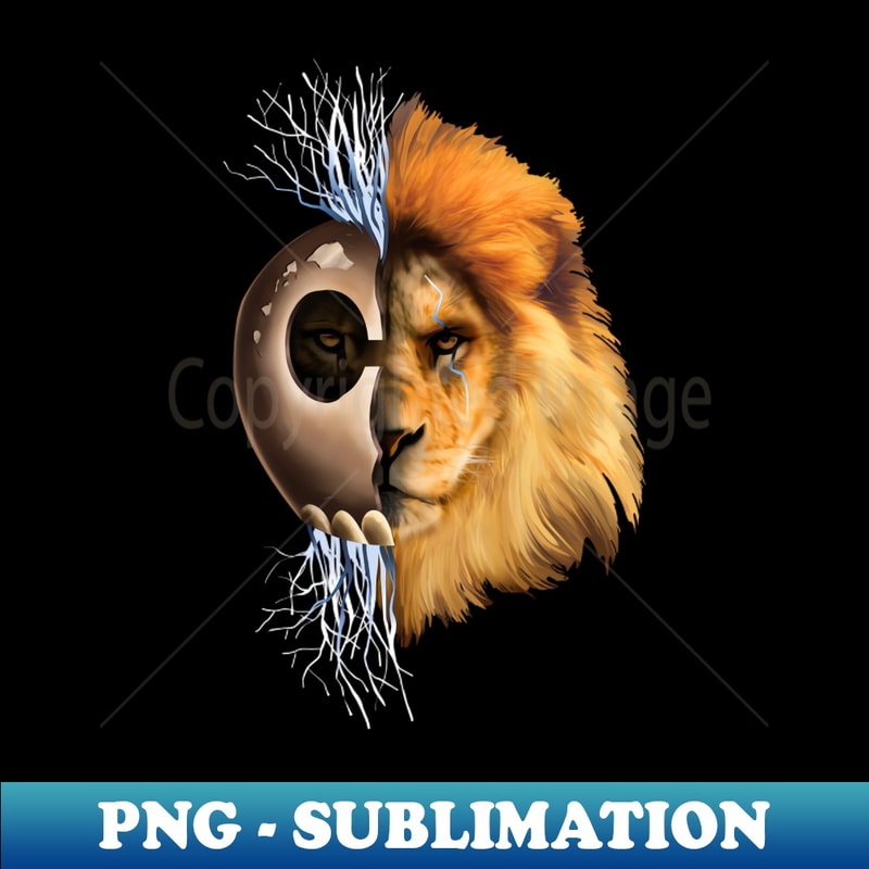 SA-13589_Hawaiian Warrior helmet 3096.jpg