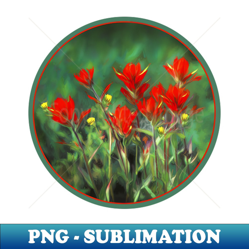 SB-15506_Indian Paintbrush 8611.jpg