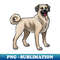 SB-9060_Dog - Anatolian Shepherd Kangal Shepherd Dog - Dun 1300.jpg