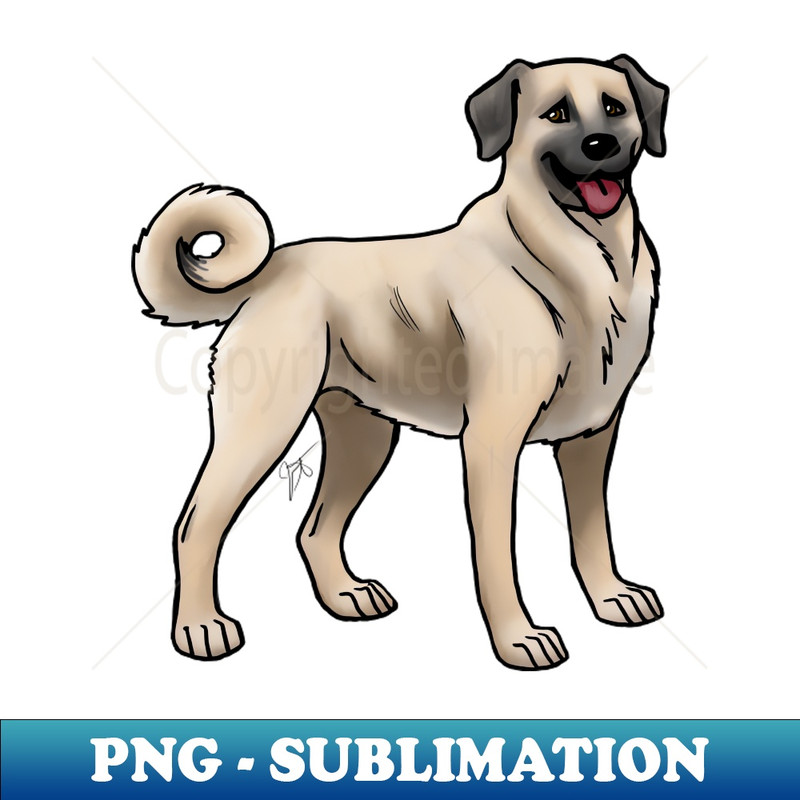 SB-9060_Dog - Anatolian Shepherd Kangal Shepherd Dog - Dun 1300.jpg