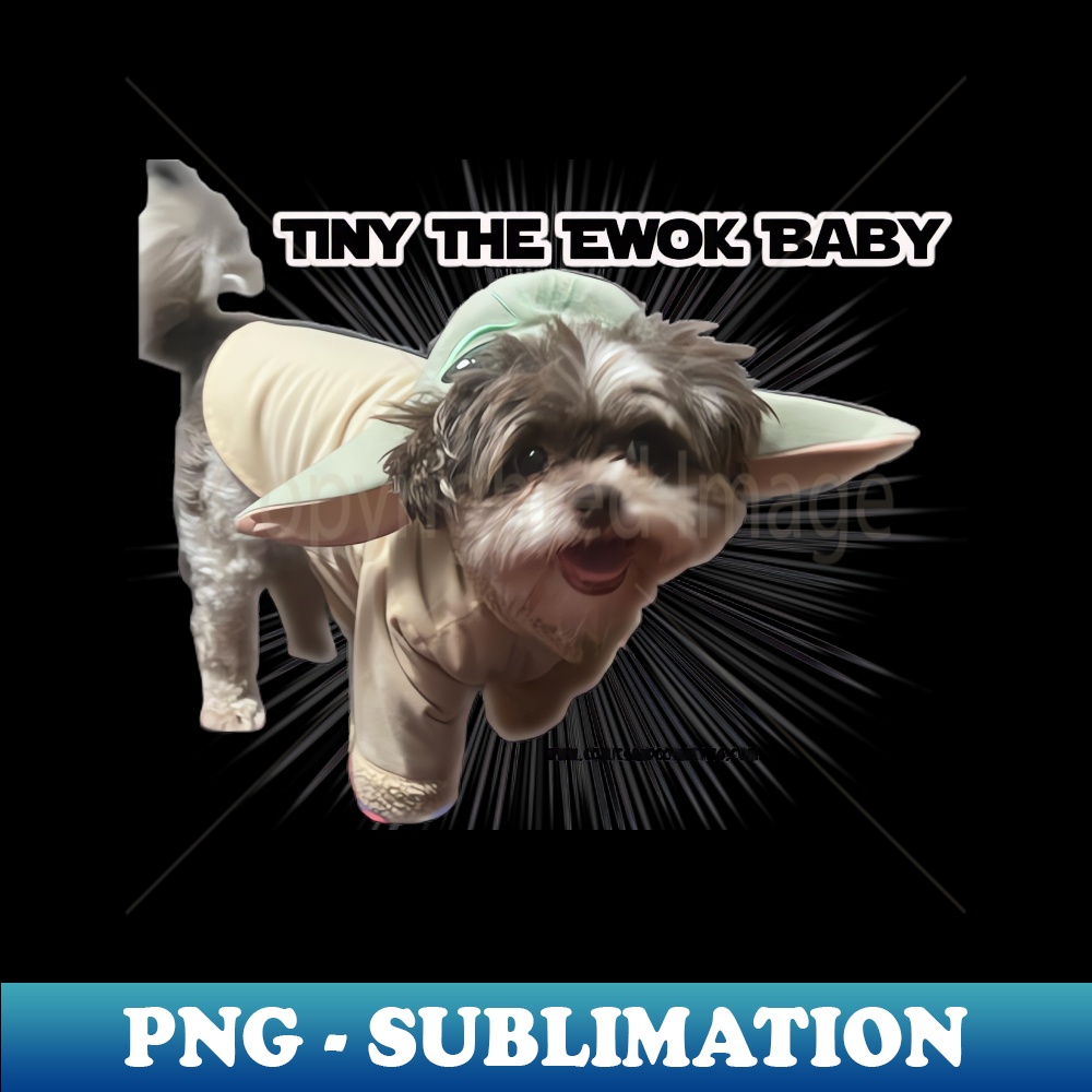 SL-28480_Tiny The Ewok Baby 1812.jpg