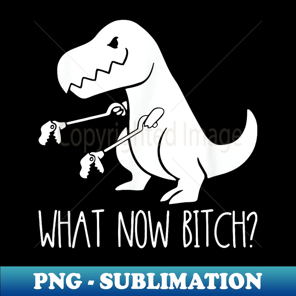 SV-30399_What Now Bitch Funny T Rex Dinosaur 0539.jpg