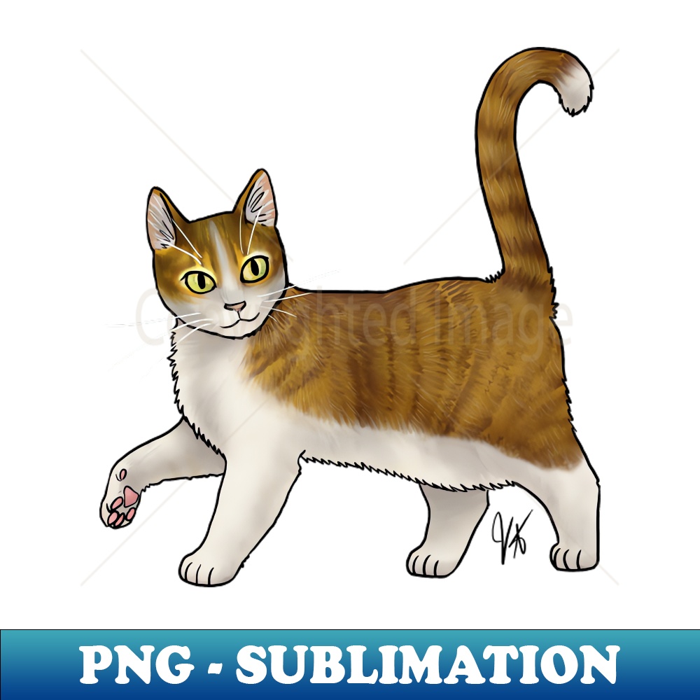 TE-5750_Cat - Cyprus Cat - White and Tabby 8493.jpg