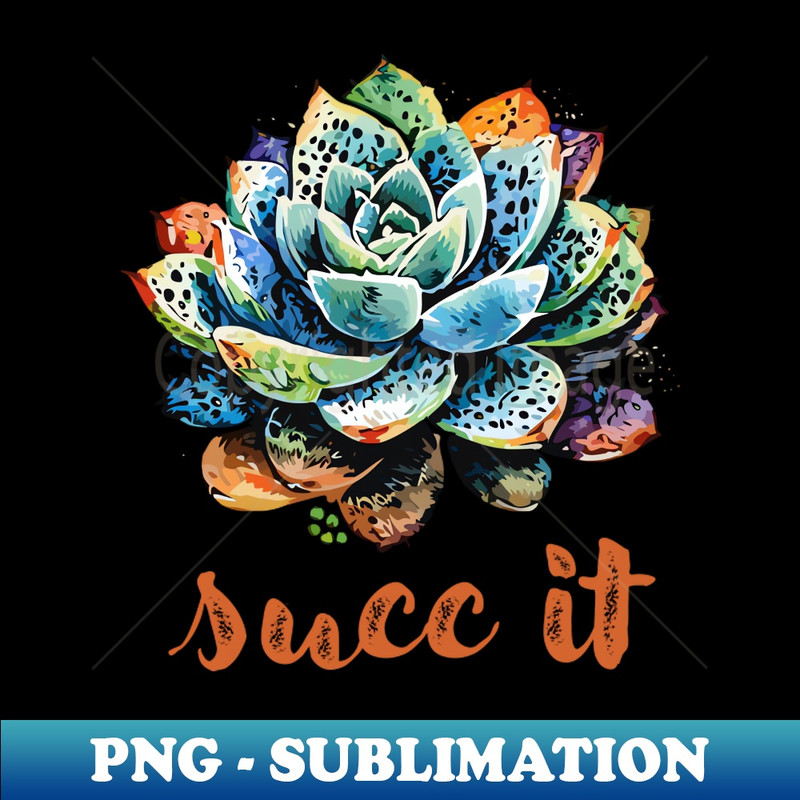 TF-26601_succ it 1762.jpg