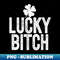 TI-18257_LUCKY BITCH Funny St Patricks Day Meme 4 Leaf Clover 0429.jpg