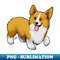 TQ-9140_Dog - Pembroke Welsh Corgi - Tan 6599.jpg