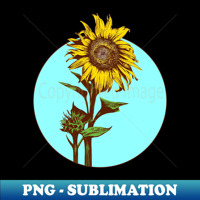 TU-26728_Sunflower in sky circle 8766.jpg