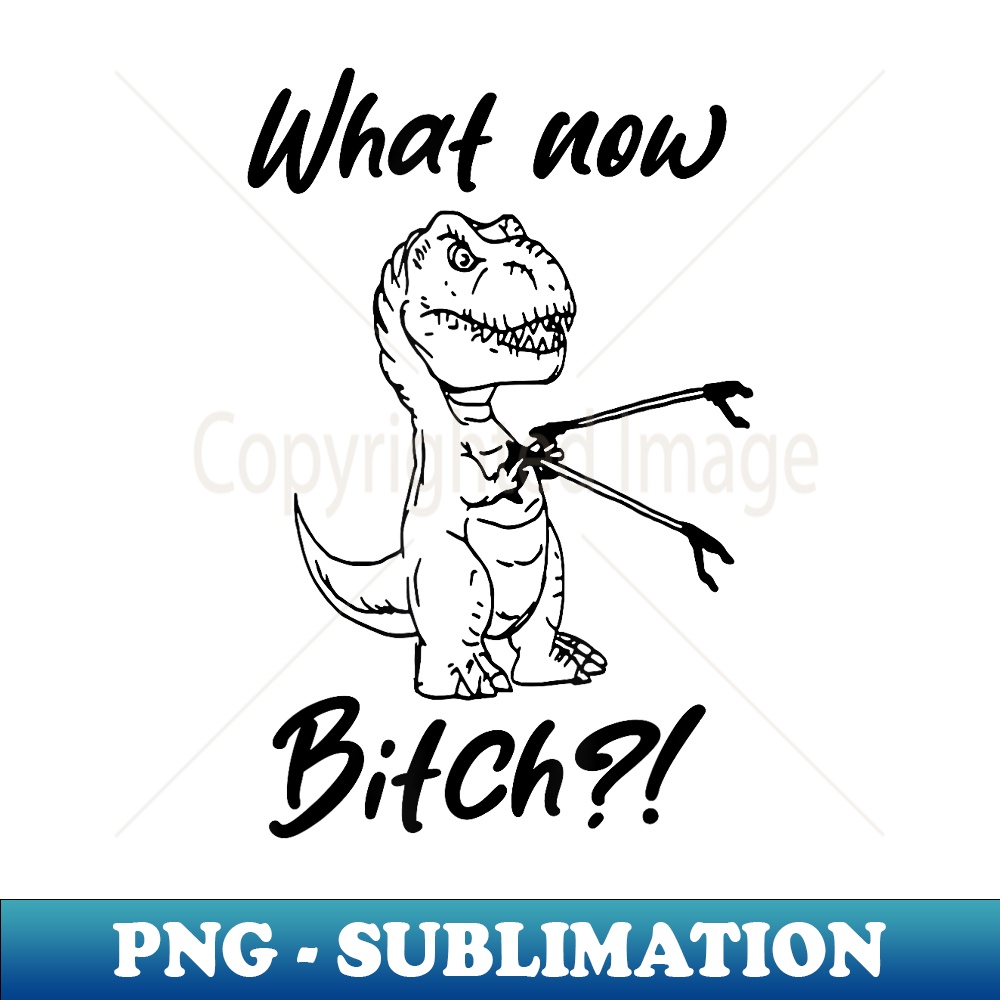 TW-11627_Funny Rex Dinosaur What Now Bitch Tyrannosaurus Rex 0229.jpg