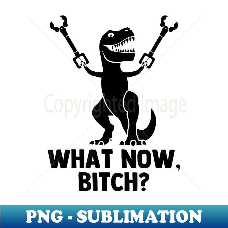 TW-30400_What Now, Bitch funny saying sarcastic Rex Dinosaur 0540.jpg
