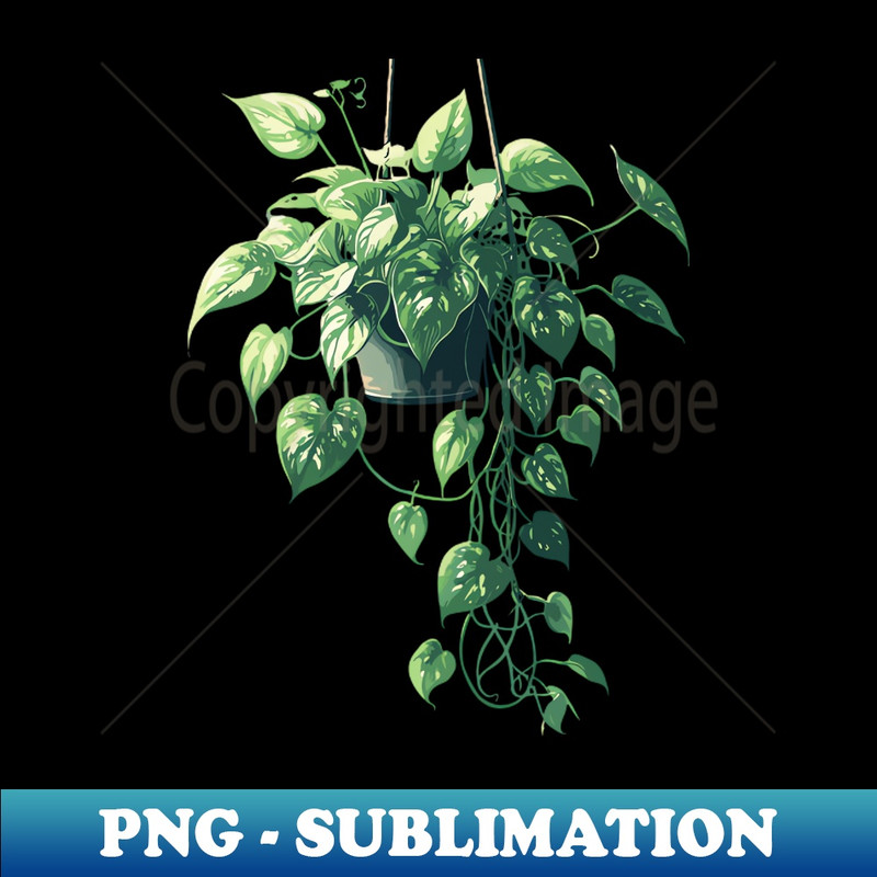 UY-13300_Hanging Plants 8208.jpg