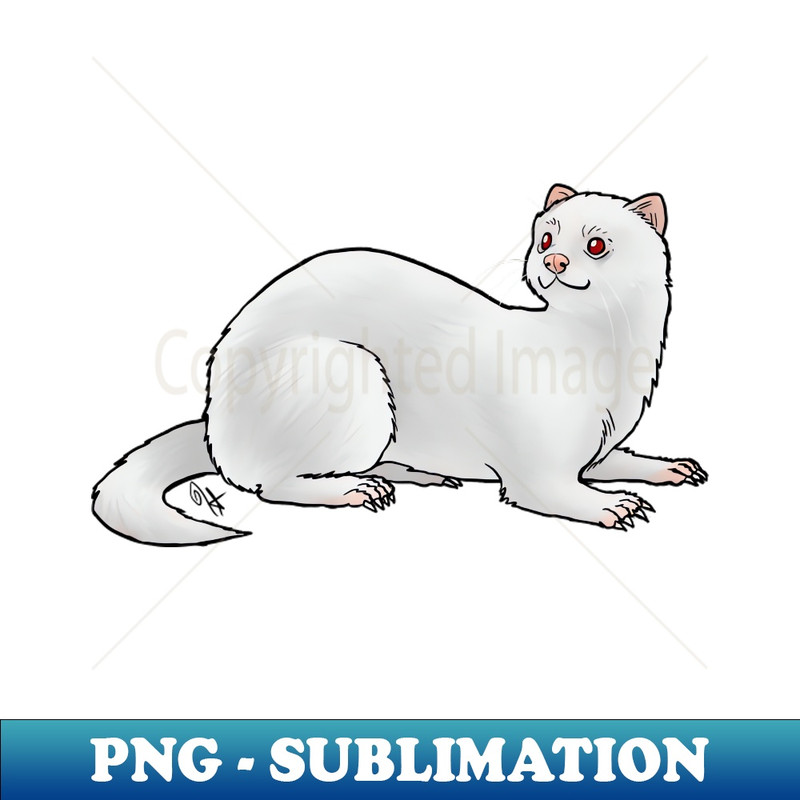 VE-10542_Ferret - Albino 8103.jpg