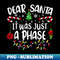 VG-8487_Dear Santa It Was Just A Phase Funny Santa Christmas  0125.jpg