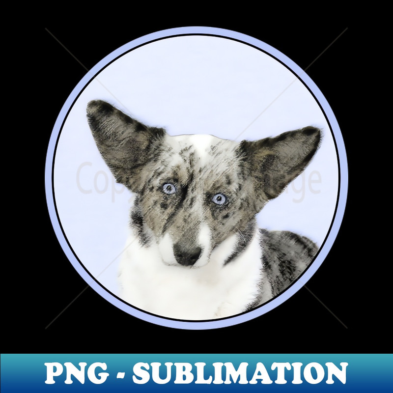 VI-5604_Cardigan Welsh Corgi 8914.jpg