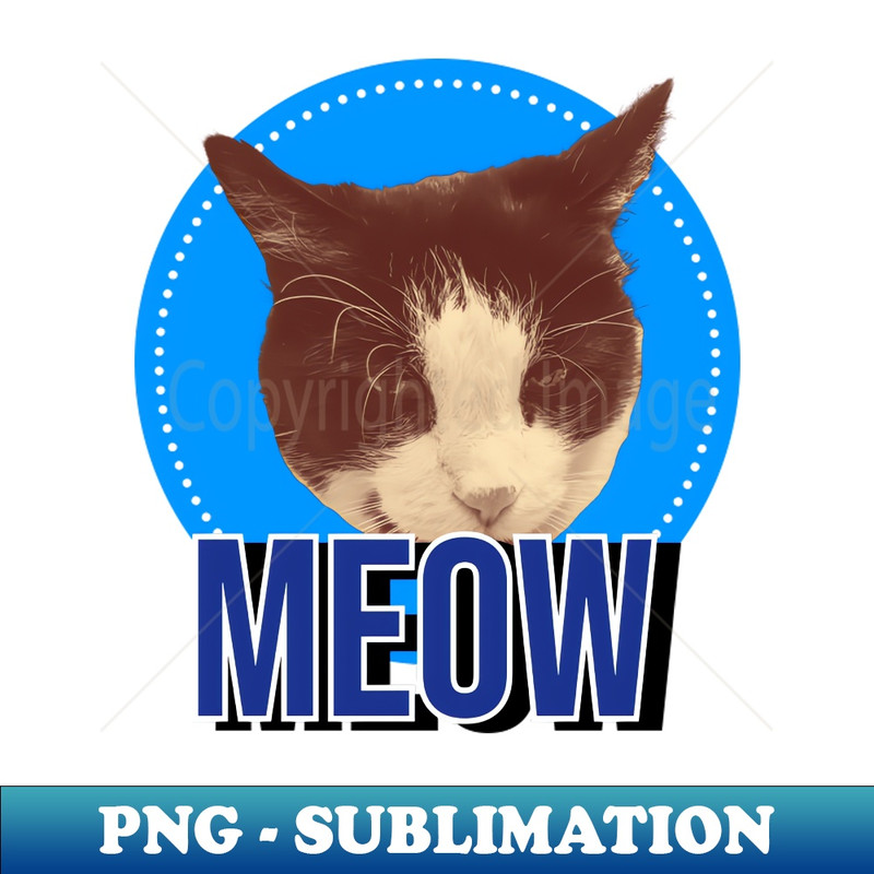VJ-18897_MEOW 5678.jpg