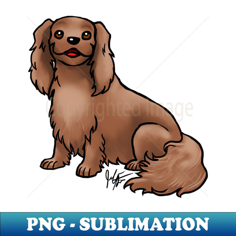 VQ-9086_Dog - Cavalier King Charles Spaniel - Ruby 6782.jpg