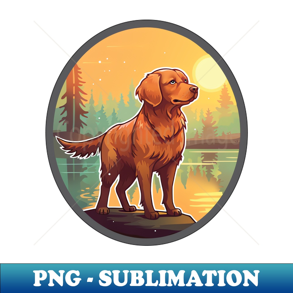 VV-12519_Golden Retriever 6575.jpg