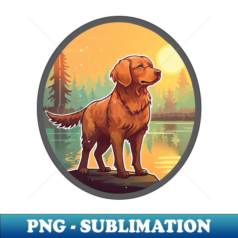 VV-12519_Golden Retriever 6575.jpg