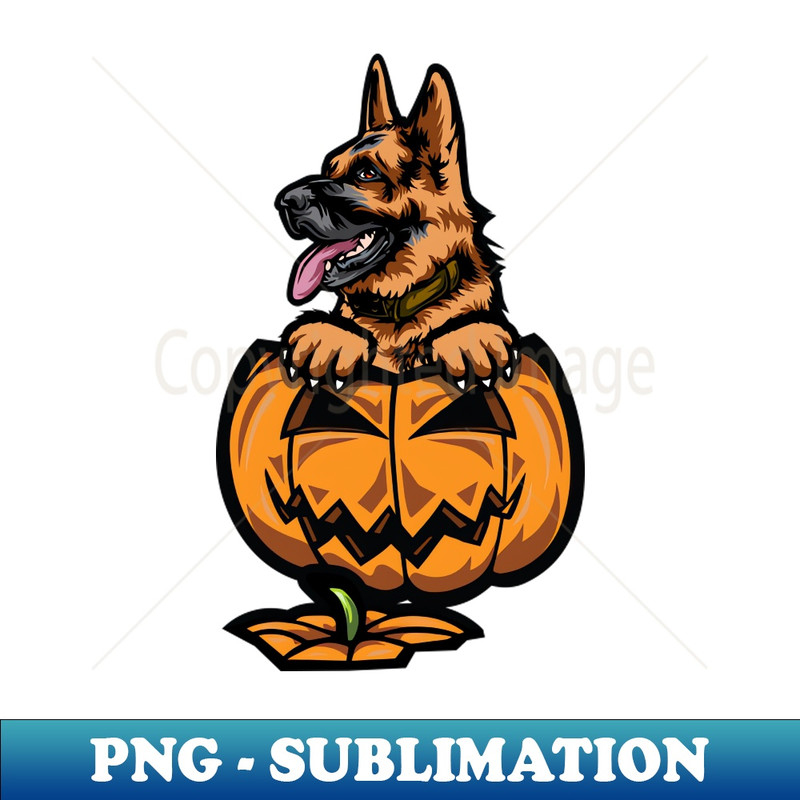 WE-12108_German Shepherd Pumpkin 7436.jpg