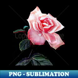 red rose - premium png sublimation file - unlock vibrant sublimation designs