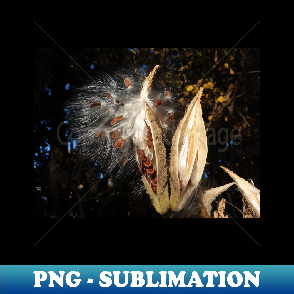 WW-24920_Seed pods for next year - Nature self planting - gift for nature lover 2762.jpg