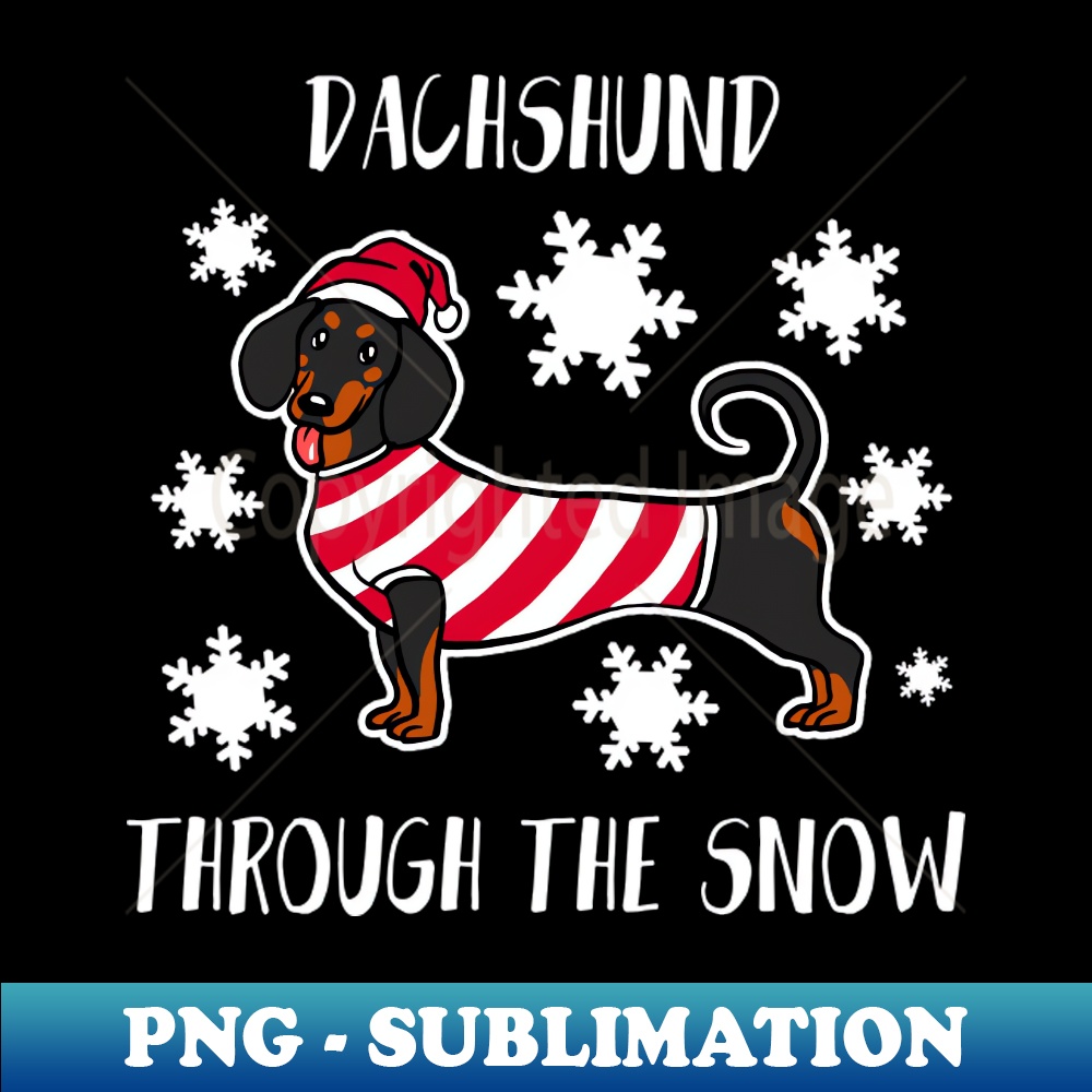 XE-8167_Dachshund Through The Snow Shirt Cute Christmas Dachshund Tshirt Dachshund Boy Girl Holiday Gift Funny Dog Lover Christmas Tee 8921.jpg