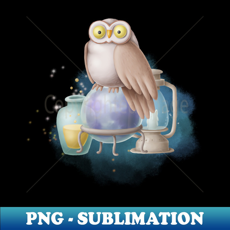 XF-21416_Owl on a magic ball 2338.jpg