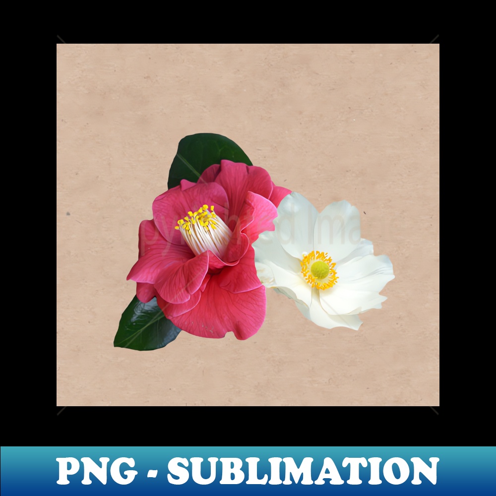 XG-10895_Flowers 9240.jpg