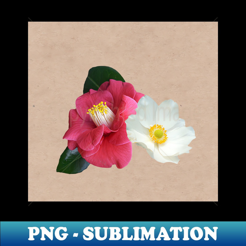 XG-10895_Flowers 9240.jpg