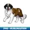 XG-9154_Dog - Saint Bernard - Black White and Tan 6314.jpg