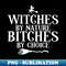 XL-30737_Witches Halloween Witches By Nature Bitches By Choice Funny 0546.jpg