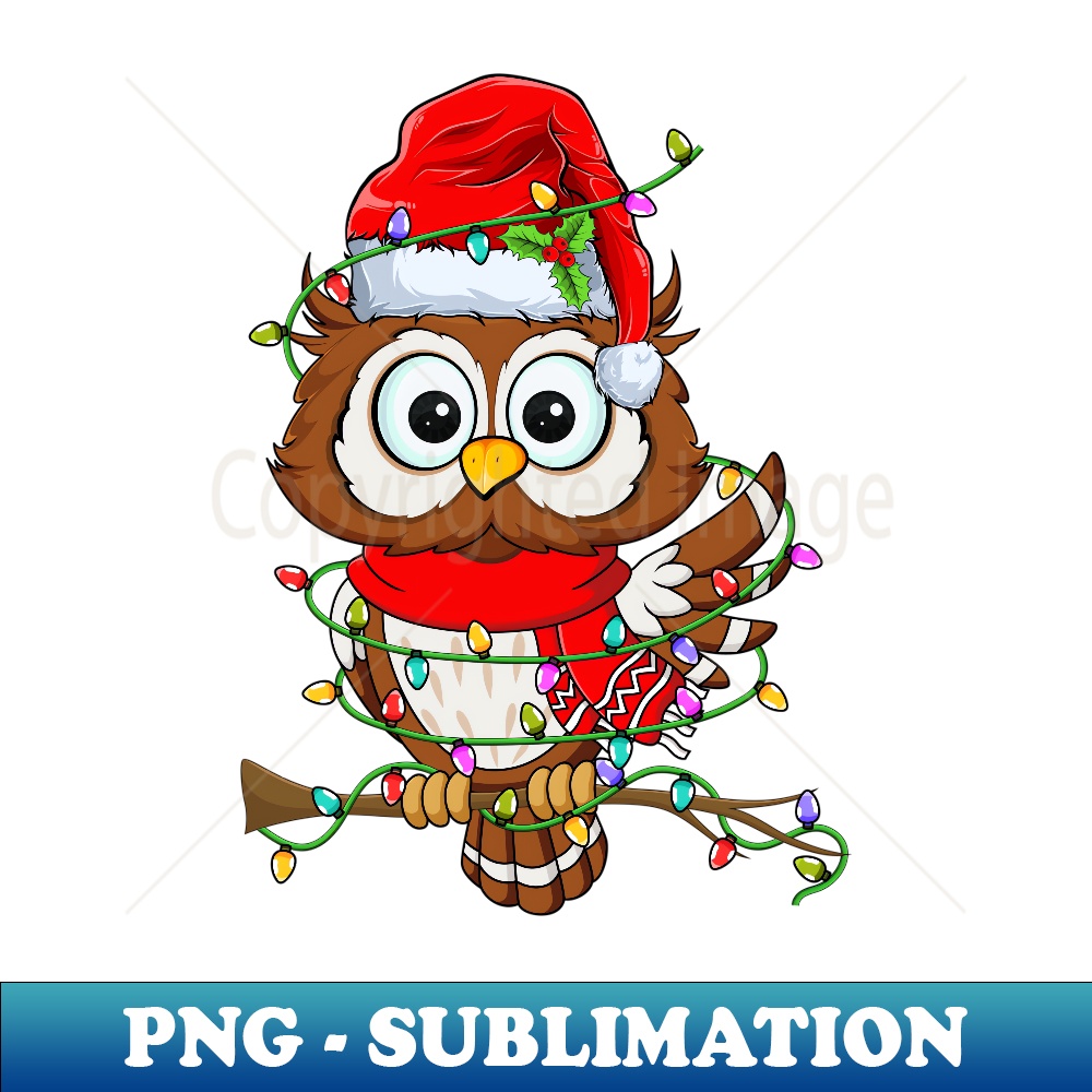 YA-21420_Owl Wearing Santa Hat Christmas - Funny Owl Lover Xmas  0404.jpg