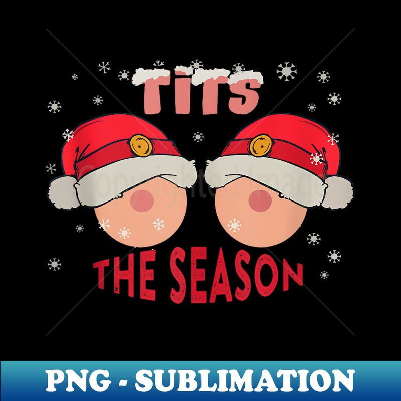 YL-17288_Ladies Tis The Season Funny Christmas Santa Claus s Bra  0285.jpg