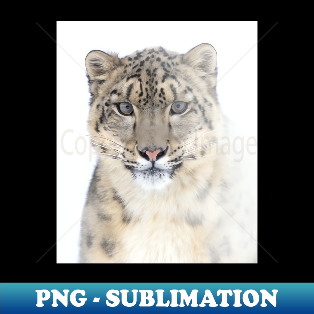 YS-25643_Snow Leopard 1446.jpg