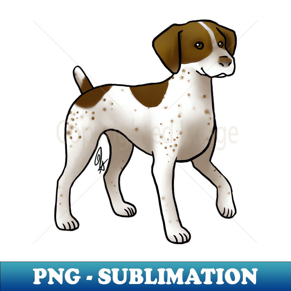 YT-9109_Dog - German Shorthaired Pointer - Liver White Patched 3991.jpg