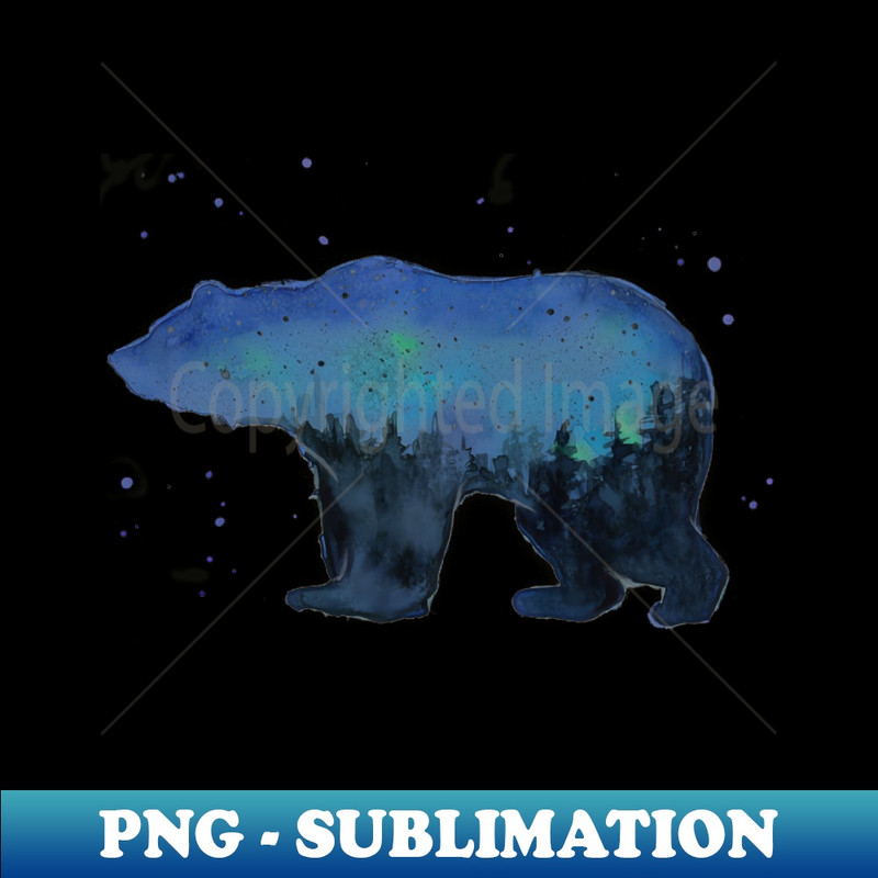 YU-11882_Galaxy Bear Silhouette 2416.jpg