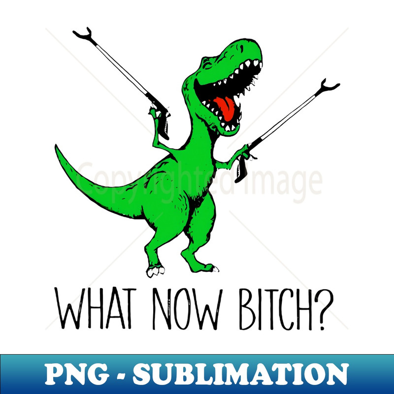 YY-23638_Rex Dinosaur What Now Bitch Funny Tyrannosaurus Rex  0511.jpg