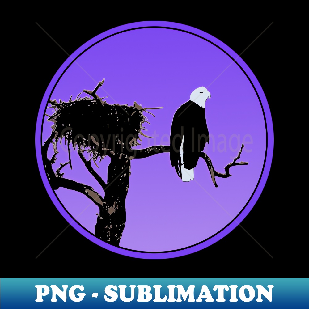 ZG-2890_Bald Eagle at Sunset 2163.jpg