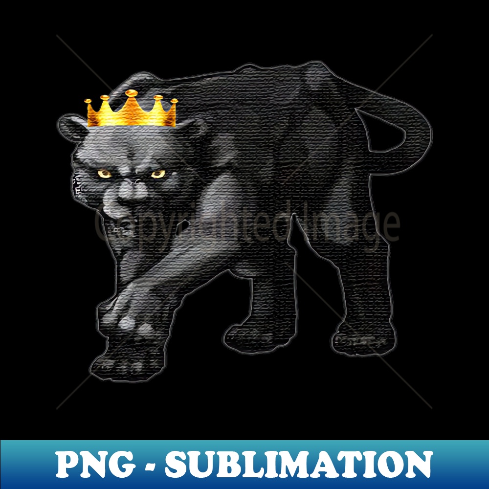 ZJ-17036_King Black Panther 9252.jpg
