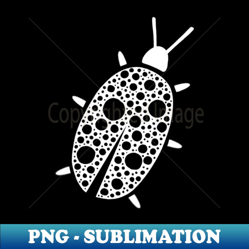 ZY-26059_Spotted Beetle Bug 9665.jpg