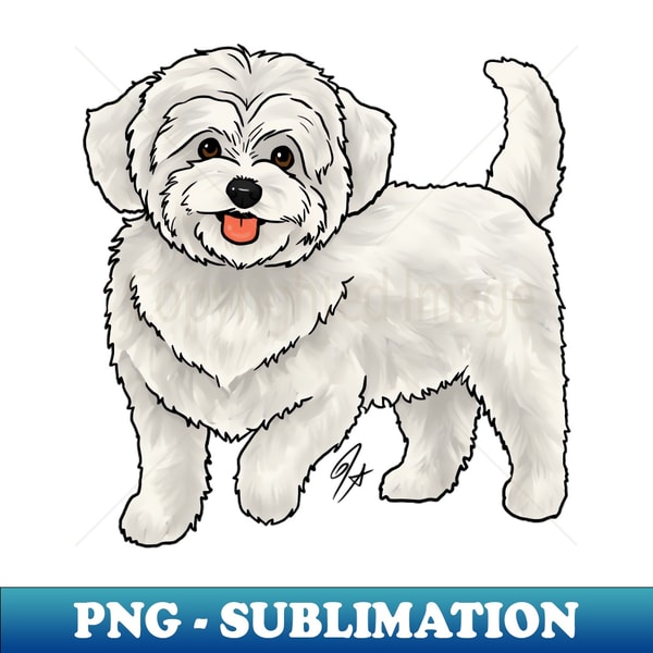 Mullapoo Png Dog - Maltipoo - White - PNG Transparent Sublimation File - | Inspire ...