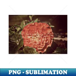 Orange Flower Photograph Design - Modern Sublimation PNG File - Spice Up Your Sublimation Projects