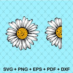 daisy svg, daisy monogram frame svg, split daisy svg half daisy svg daisy quote svg daisy flower svg, daisy clipart
