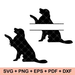 golden retriever svg, golden retriever clipart, golden retriever png, golden retriever head, golden retriever cut files