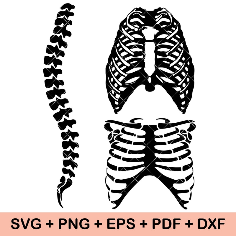 Skeleton Rib Bones Patterns.pdf Skeleton Rib SVG Bundle, Skeleton Rib vector, Skeleton Rib c | Inspire ...