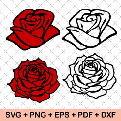 rose flower svg, roses svg, rose clipart, flower svg, roses template svg, rose bouquet svg, red rose svg, rose png