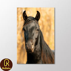 Black Horse Canvas Wall Art, Animal Poster Print, Farmhouse Wall Decoration, Horse Photography, Canvas Ready to Hang