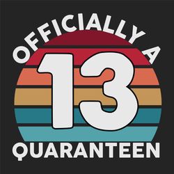 13th birthday officially a quaranteen teenager 13 years old, birthday svg, 13th birthday, 13th birthday gift, 13th birth