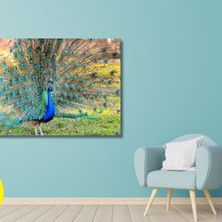 peacock canvas wall art, animal nature print,green peafowl,canvas print,peacock or canvas panel ready to hang,home o