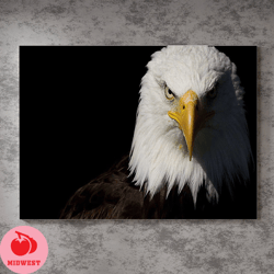 bald eagle in a white color canvas.majestic bird art.wildlife wall decor.symbolic bird painting.elegant home decoration